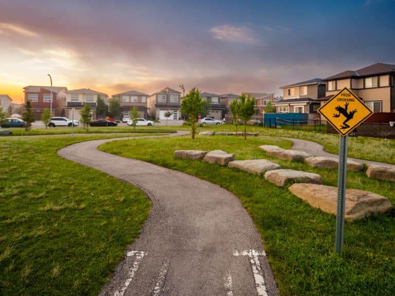 Frog crossing and pathways in Cornerstone